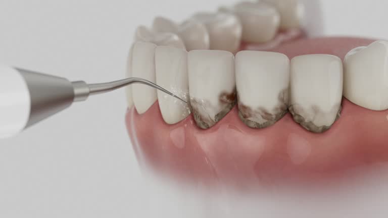 Reliable Dental contractor in Gadsden, AL by Dentist Open Now